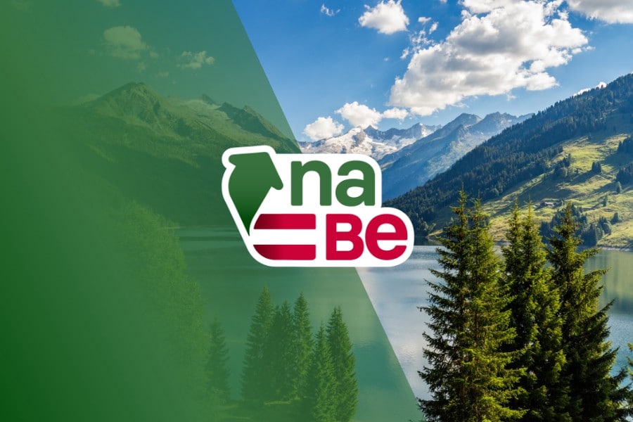 naBe Logo